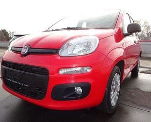 Fiat Panda Gebrauchtwagen