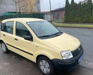 Fiat New Panda Gebrauchtwagen