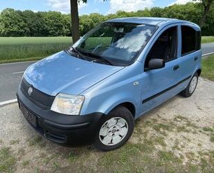 Fiat Panda Gebrauchtwagen