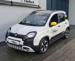 Fiat Panda Gebrauchtwagen