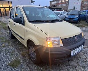 Fiat Panda Gebrauchtwagen