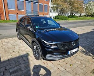 DFSK Fengon 5 Gebrauchtwagen