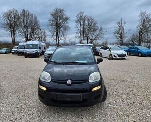 Fiat Panda Gebrauchtwagen