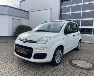 Fiat Panda Gebrauchtwagen