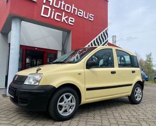 Fiat Panda Gebrauchtwagen