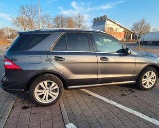 Mercedes-Benz ML 350 Gebrauchtwagen
