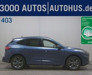 Ford Kuga Gebrauchtwagen