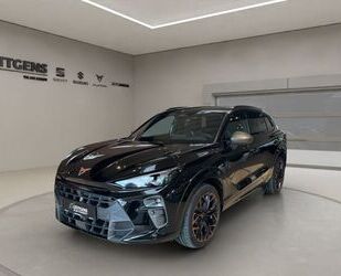 Cupra Terramar Gebrauchtwagen