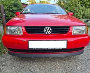 VW Polo Gebrauchtwagen