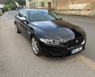 Jaguar XE Gebrauchtwagen