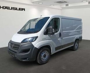 Fiat Ducato Gebrauchtwagen