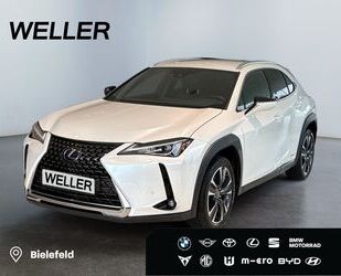 Lexus UX Gebrauchtwagen