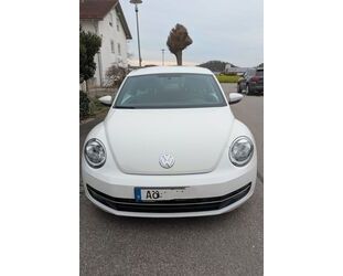 VW Beetle Gebrauchtwagen