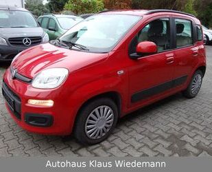 Fiat New Panda Gebrauchtwagen