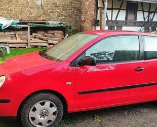 VW Polo Gebrauchtwagen