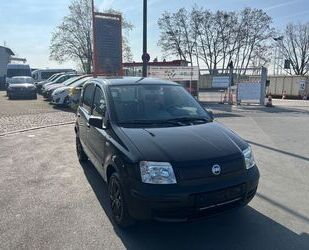 Fiat Panda Gebrauchtwagen