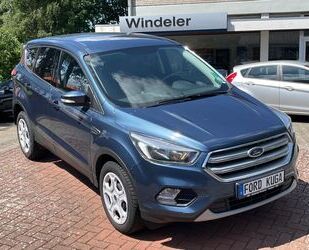 Ford Kuga Gebrauchtwagen