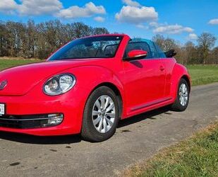 VW Beetle Gebrauchtwagen