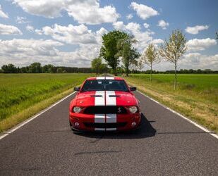 Ford Mustang Gebrauchtwagen