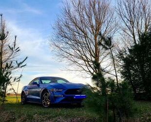 Ford Mustang Gebrauchtwagen