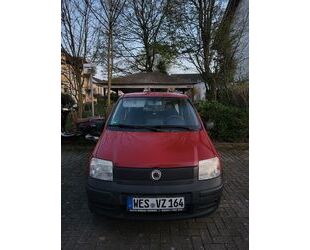 Fiat Panda Gebrauchtwagen