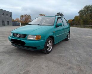 VW Polo Gebrauchtwagen