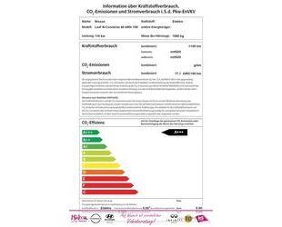 Nissan Leaf Gebrauchtwagen