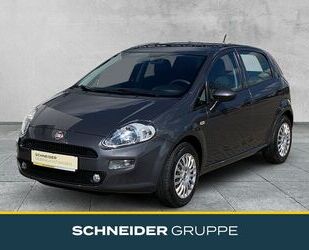 Fiat Punto Gebrauchtwagen