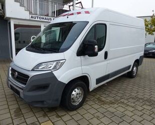 Fiat Ducato Gebrauchtwagen
