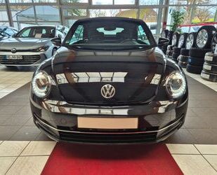 VW Beetle Gebrauchtwagen