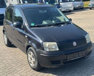 Fiat Panda Gebrauchtwagen
