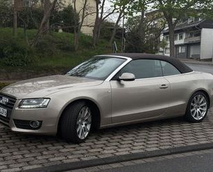 Audi A5 Gebrauchtwagen