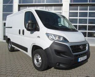 Fiat Ducato Gebrauchtwagen