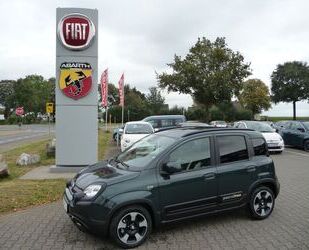 Fiat Panda Gebrauchtwagen