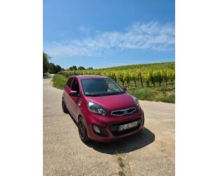 Kia Picanto Gebrauchtwagen