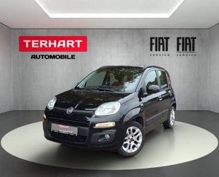 Fiat Panda Gebrauchtwagen