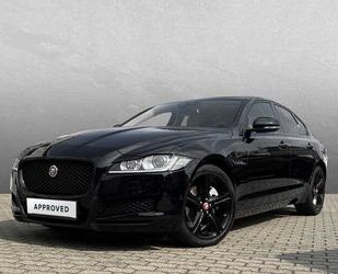Jaguar XF Gebrauchtwagen