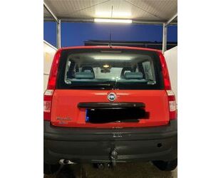 Fiat Panda Gebrauchtwagen