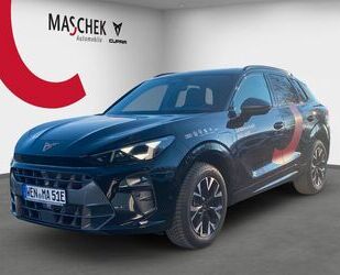 Cupra Terramar Gebrauchtwagen