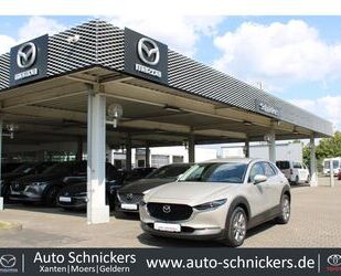 Mazda CX-30 Gebrauchtwagen