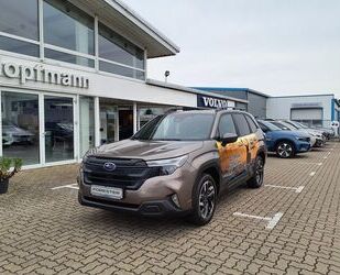 Subaru Forester Gebrauchtwagen