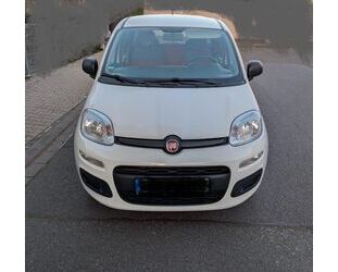 Fiat New Panda Gebrauchtwagen