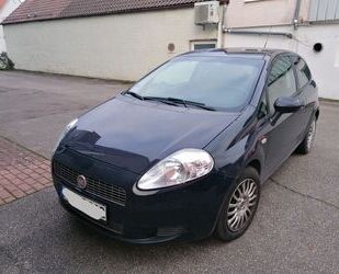 Fiat Punto Gebrauchtwagen