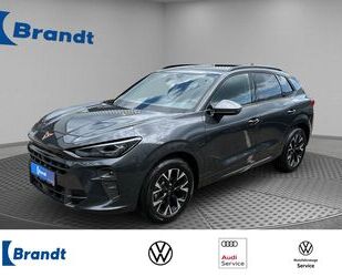 Cupra Terramar Gebrauchtwagen