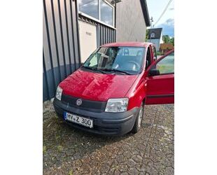 Fiat Panda Gebrauchtwagen
