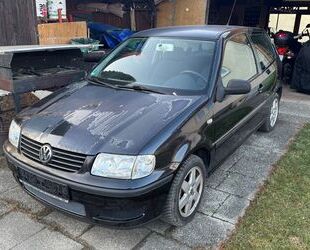 VW Polo Gebrauchtwagen