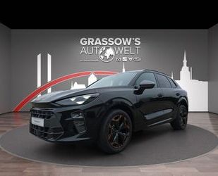 Cupra Terramar Gebrauchtwagen