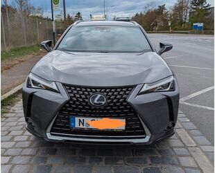 Lexus UX Gebrauchtwagen