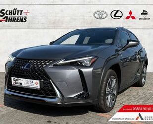 Lexus UX Gebrauchtwagen