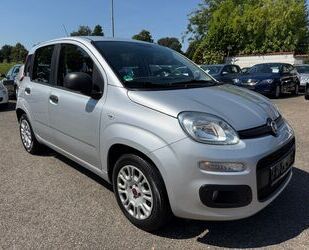 Fiat Panda Gebrauchtwagen